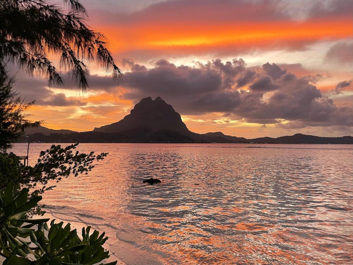 Fare Ahuna Bora Bora Dış mekan fotoğraf